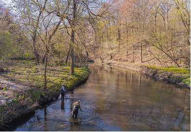 Bronx River Watershed Health & Resilience Program